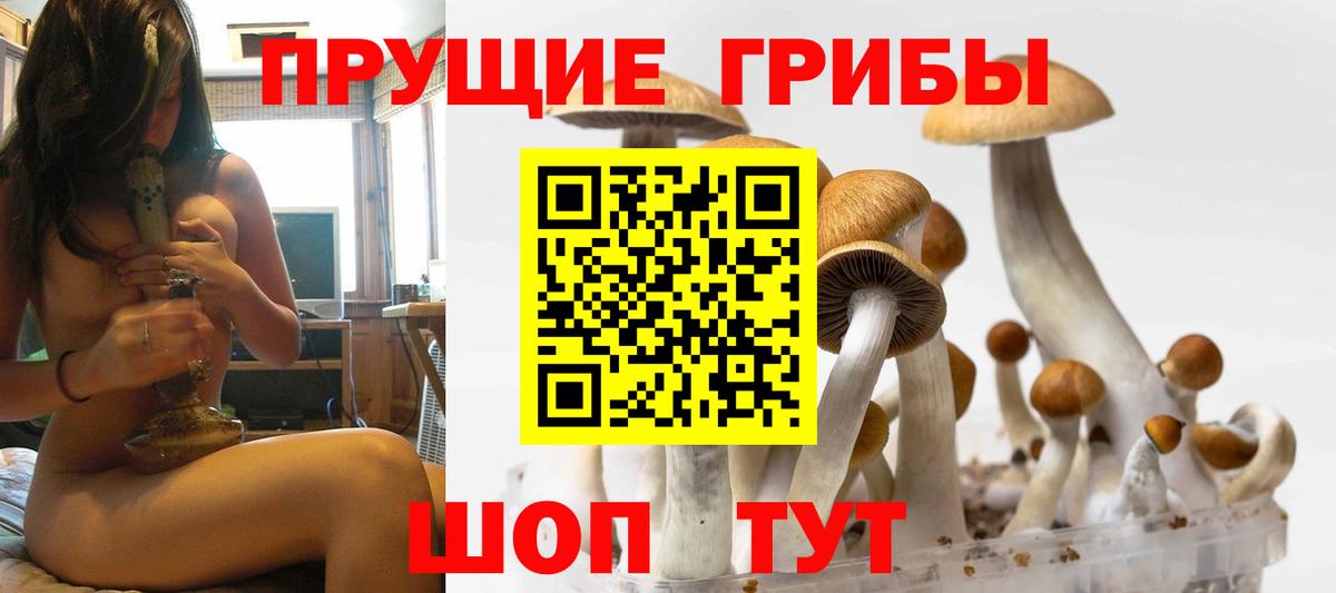 Псилоцибиновые грибы мицелий  Вход с VPN  купить  цена  Озёры 